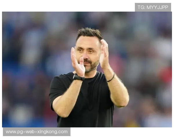 布莱顿的欧战首秀：德泽尔比的挑战与机遇，德布莱尔门窗有限公司