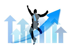 星空体育入口官网-中国篮球职业俱乐部财务风险管理实践，篮球俱乐部经营与管理